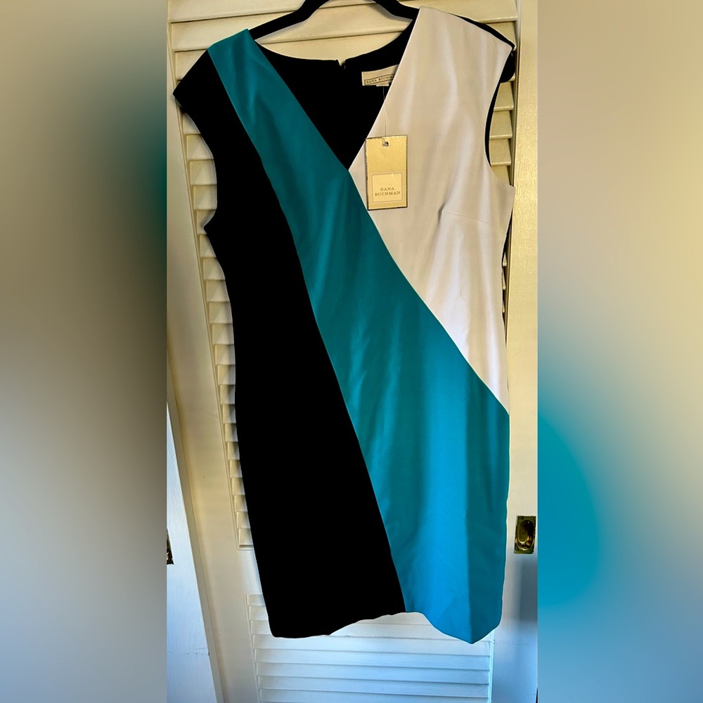 NWT Dana Buchman color block sleeveless dress